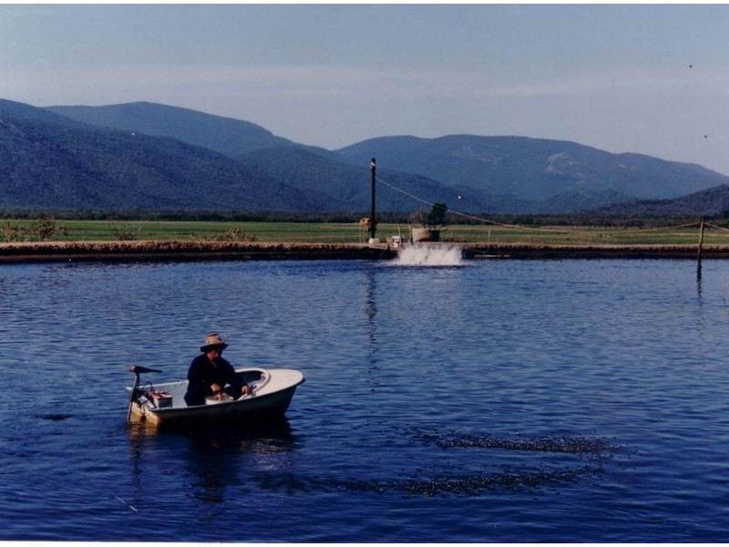 325 Crocodile Creek Road, Cape Cleveland QLD 4810