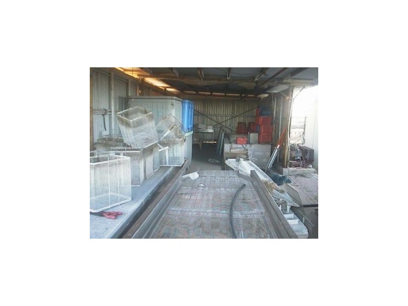 325 Crocodile Creek Road, Cape Cleveland QLD 4810