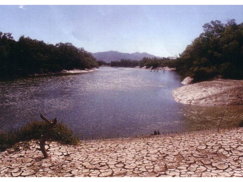 325 Crocodile Creek Road, Cape Cleveland QLD 4810