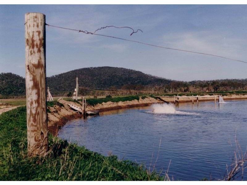 325 Crocodile Creek Road, Cape Cleveland QLD 4810