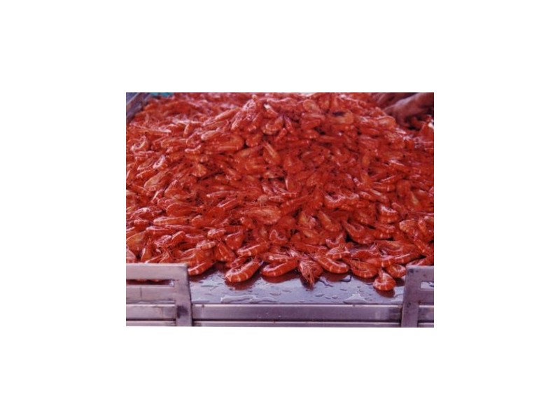 325 Crocodile Creek Road, Cape Cleveland QLD 4810