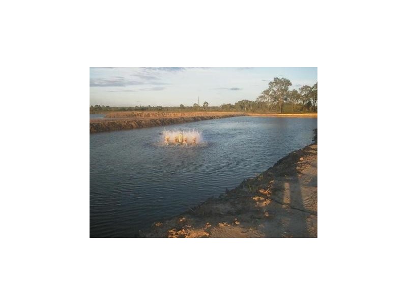 325 Crocodile Creek Road, Cape Cleveland QLD 4810