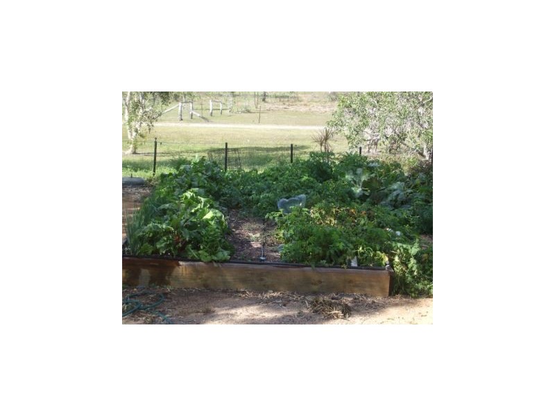 54 Pavia Drive, Nome QLD 4816