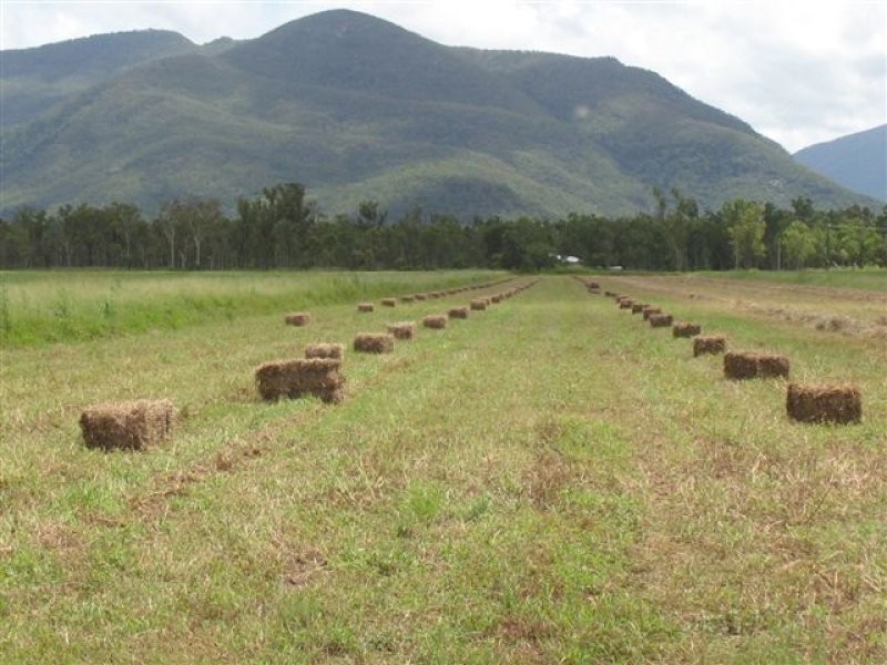 122 Webb Road, Majors Creek QLD 4816