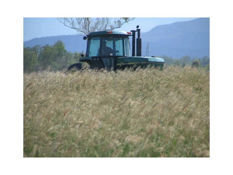 122 Webb Road, Majors Creek QLD 4816