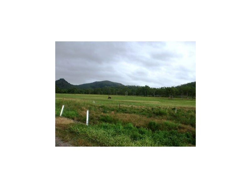 109 Barnham Road, Nome QLD 4816