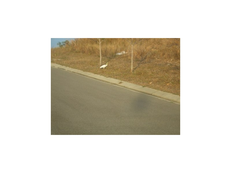 4 Bray Court, Bushland Beach QLD 4818