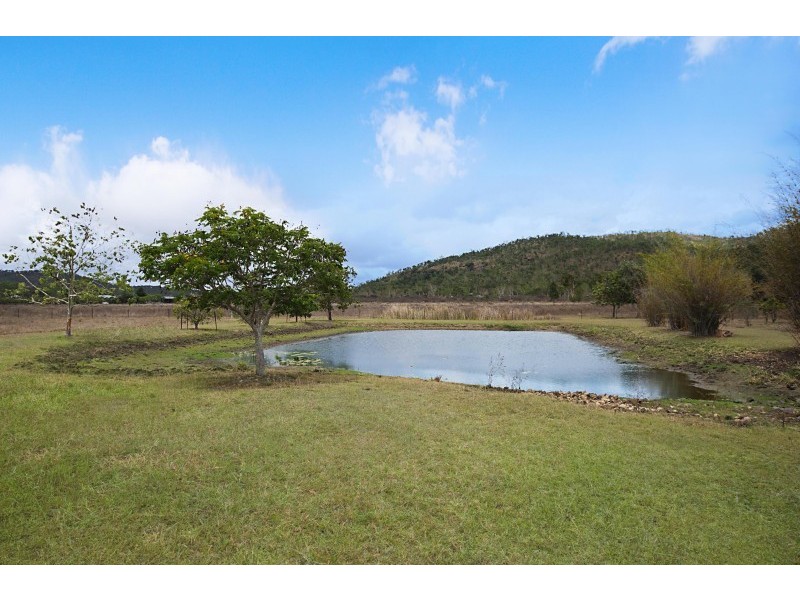 1454 Woodstock Giru Road, Mount Surround QLD 4809