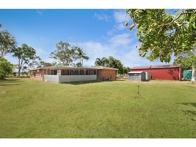 Majors Creek QLD 4816