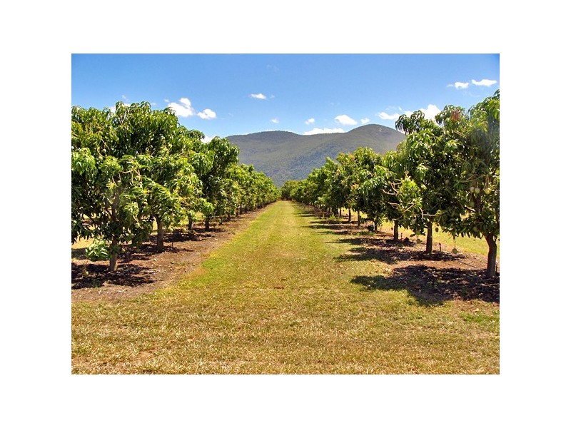 94 Majors Creek Road, Majors Creek QLD 4816