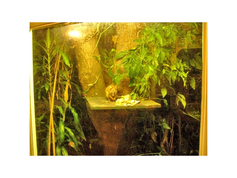 94 Majors Creek Road, Majors Creek QLD 4816