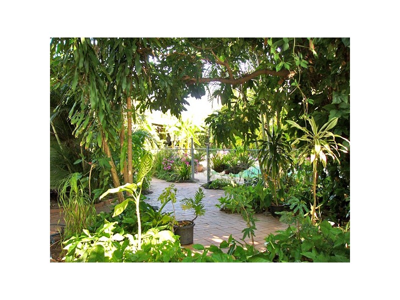 94 Majors Creek Road, Majors Creek QLD 4816