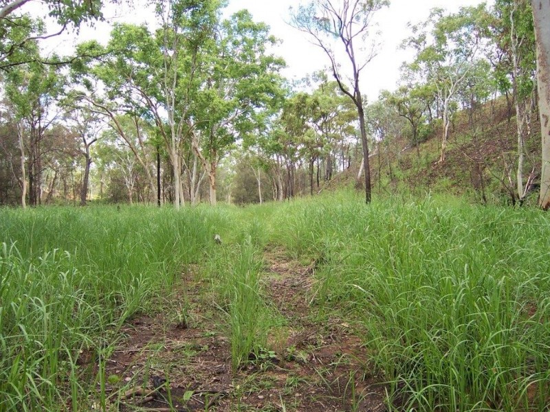 Lot 2 Greenvale Valley Road, Greenvale QLD 4816