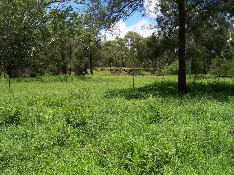 Lot 2 Greenvale Valley Road, Greenvale QLD 4816