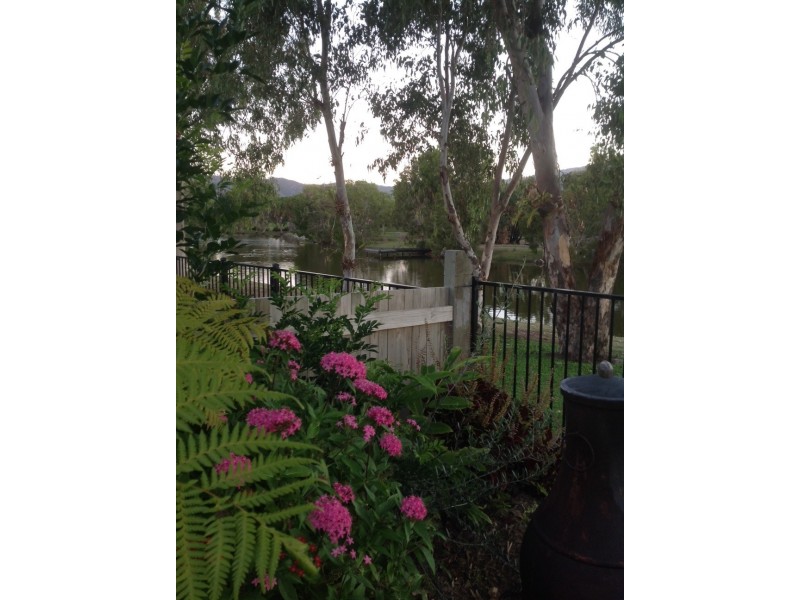 31 Springside Terrace, Idalia QLD 4811