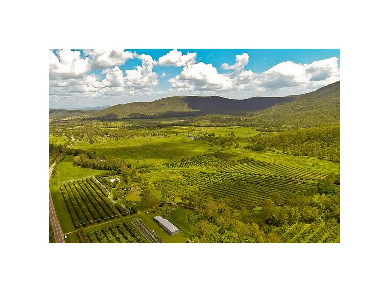 1194 -1196 Woodstock Giru Road, Mount Surround QLD 4809