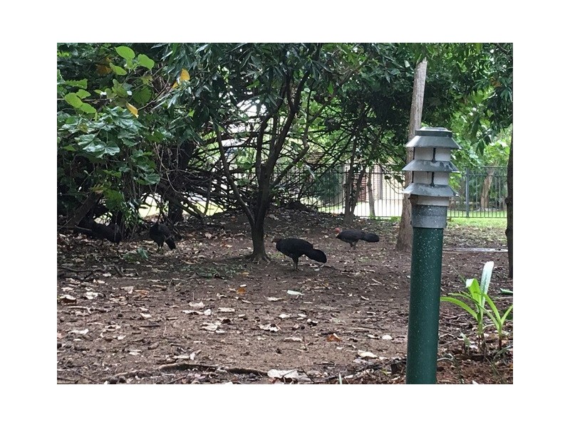 9/2 New England Court, Douglas QLD 4814