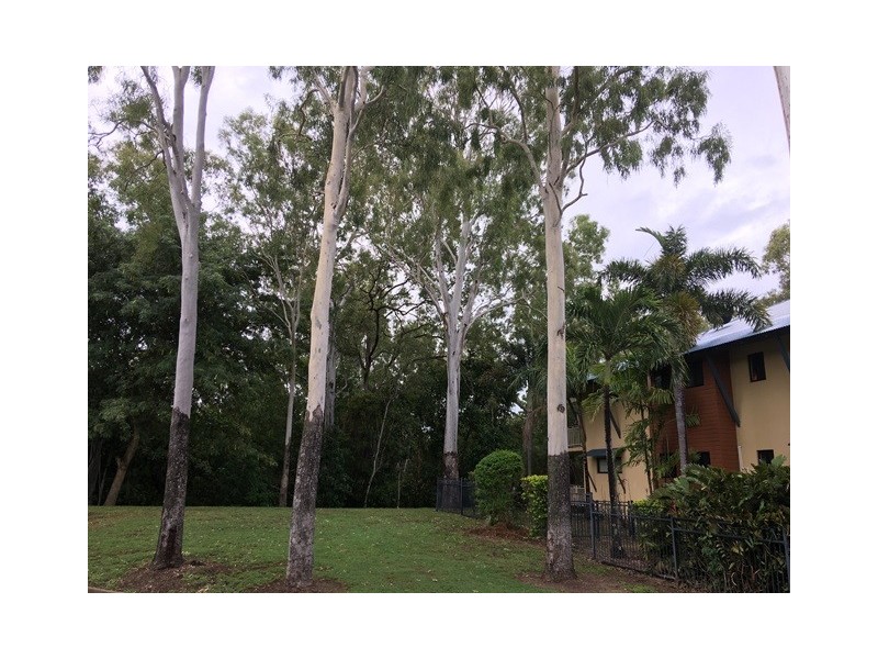 9/2 New England Court, Douglas QLD 4814