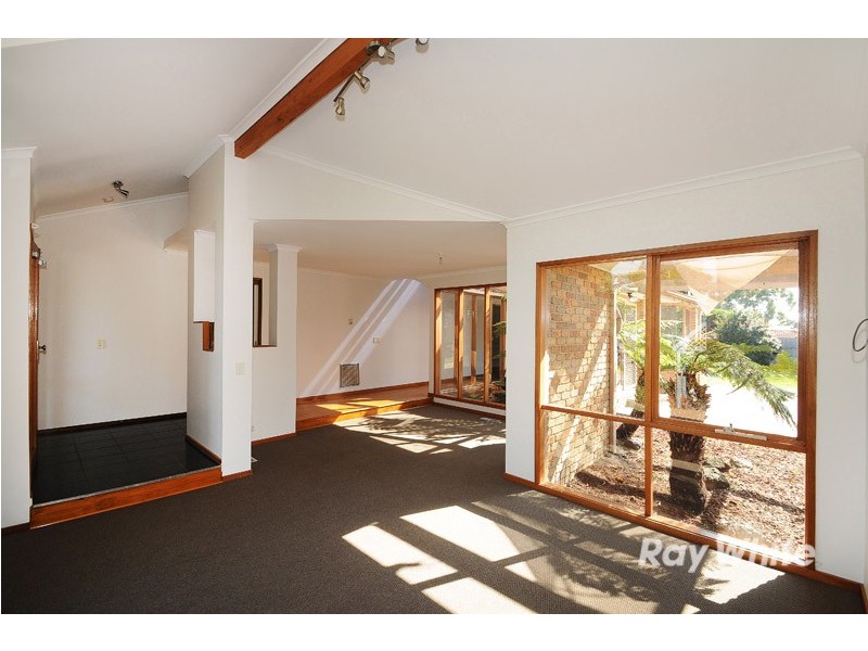 19 Rodney Court, Skye VIC 3977