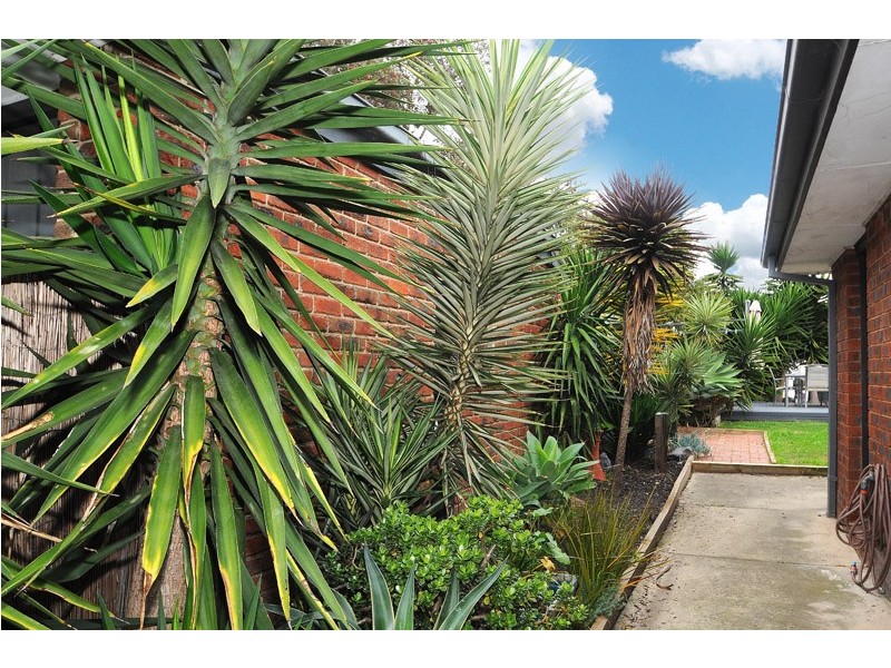 208 Hall Road, Carrum Downs VIC 3201