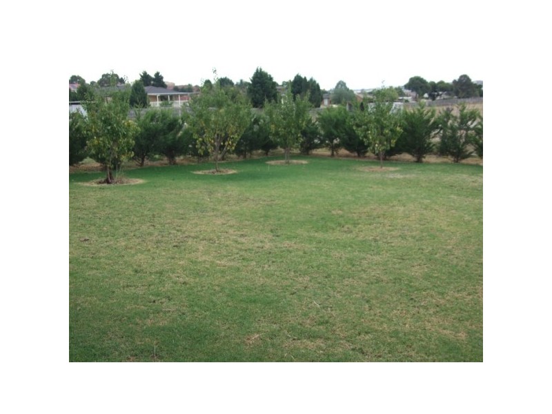 175 Pound Road, Hampton Park VIC 3976