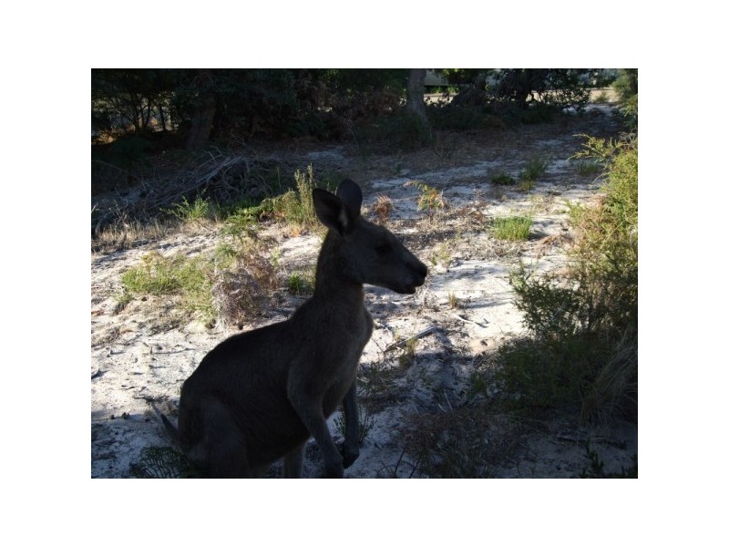 58 White Crescent, Loch Sport VIC 3851