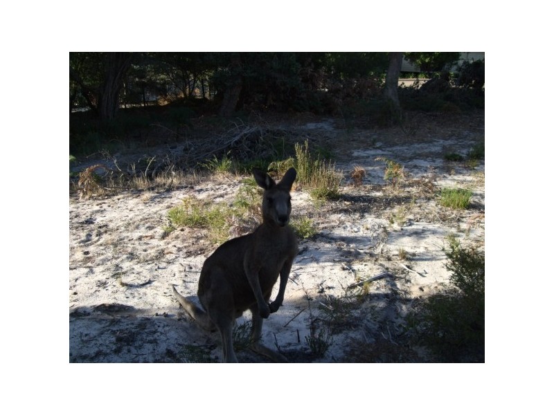 58 White Crescent, Loch Sport VIC 3851