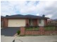 44 Chardonnay Drive, Skye VIC 3977