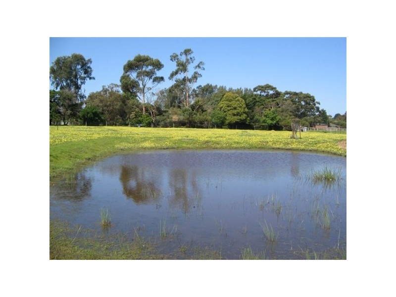 19 Pearcedale Road, Pearcedale VIC 3912