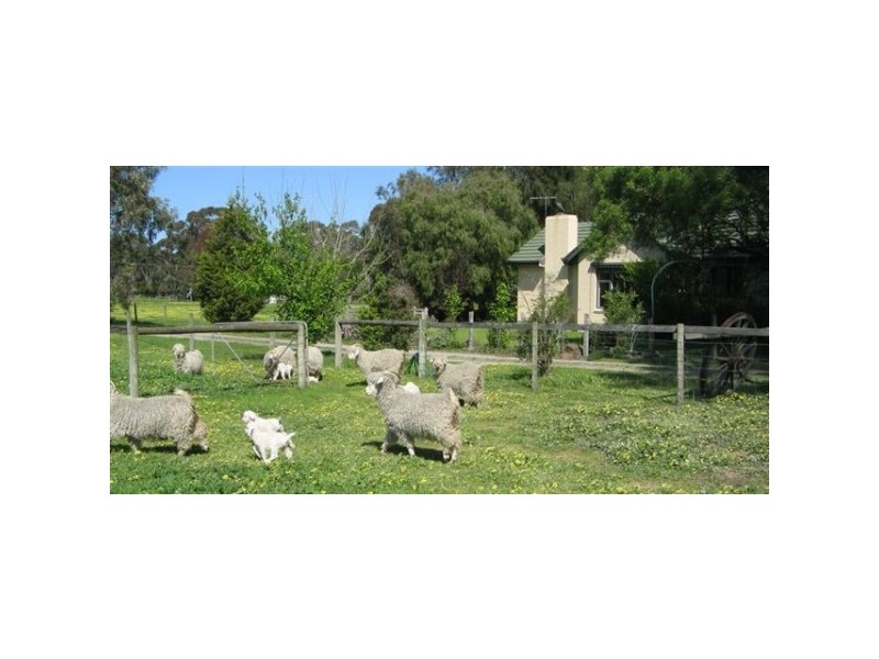 19 Pearcedale Road, Pearcedale VIC 3912