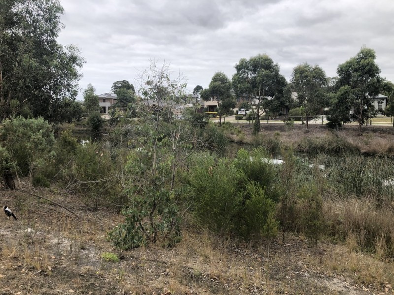 Lot 5, 1 Quail Place, Langwarrin VIC 3910