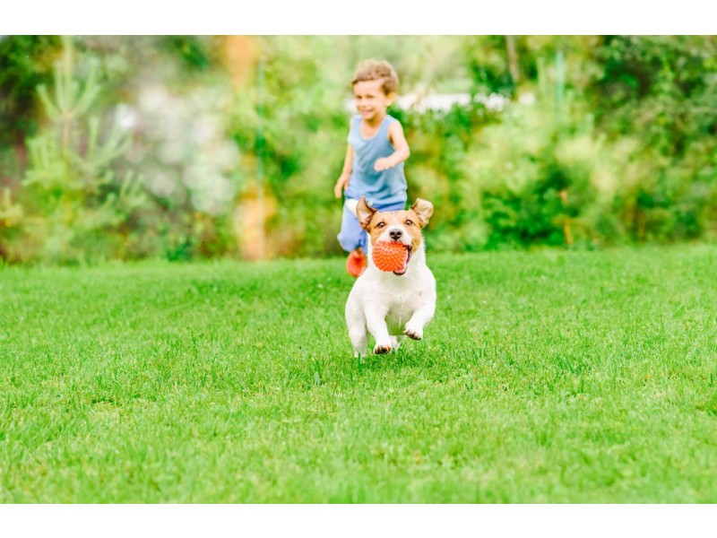 40-44 Drouin Road, Longwarry VIC 3816