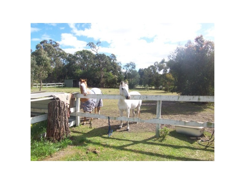 835 North Road, Pearcedale VIC 3912