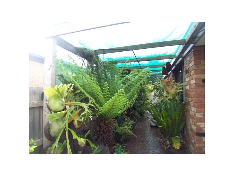 12 Fulmar Street, Carrum Downs VIC 3201