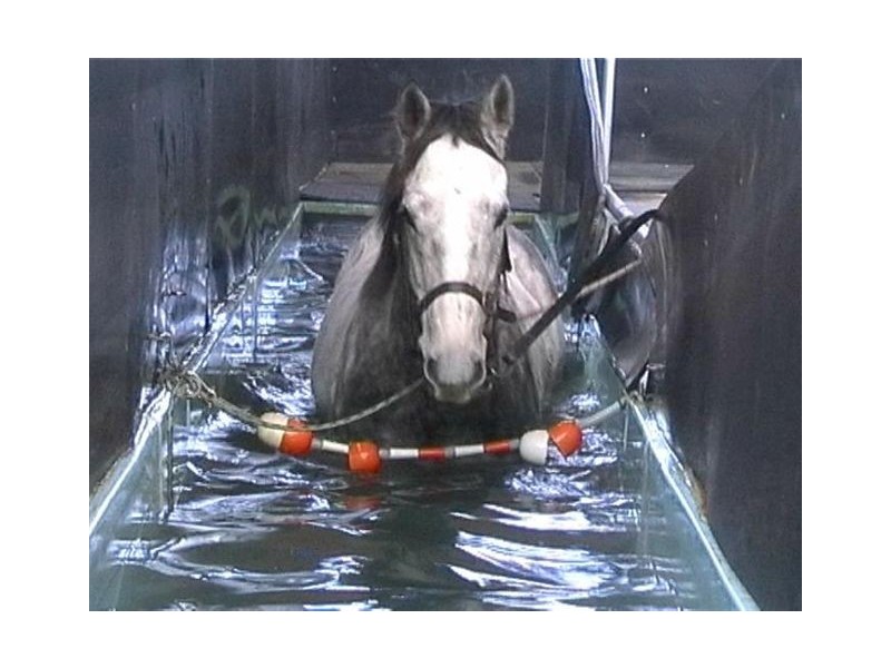 1835 Ballarto Road, Clyde VIC 3978