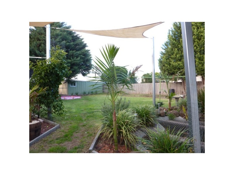 37 Thornbill Drive, Carrum Downs VIC 3201