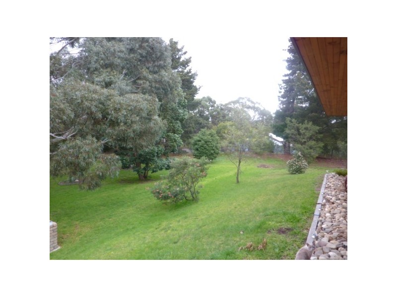 205 Warrandyte Road, Langwarrin VIC 3910