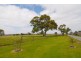 17 Postregna Way, Skye VIC 3977