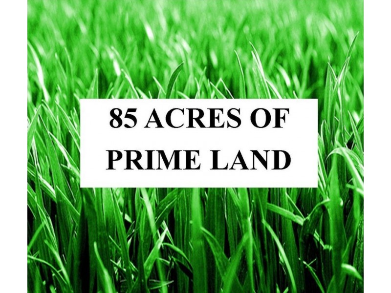 1425 Ballarto Road, Clyde VIC 3978