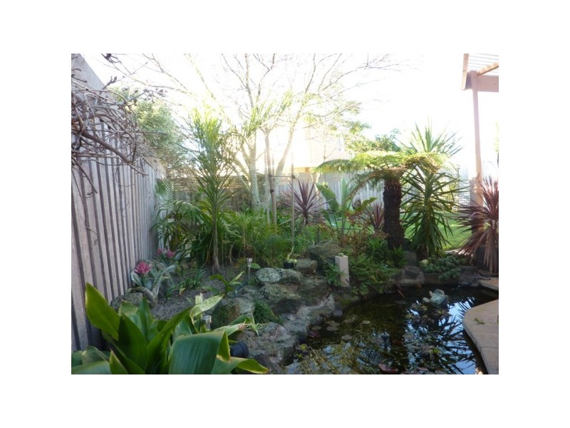 11 Streeton Court, Skye VIC 3977
