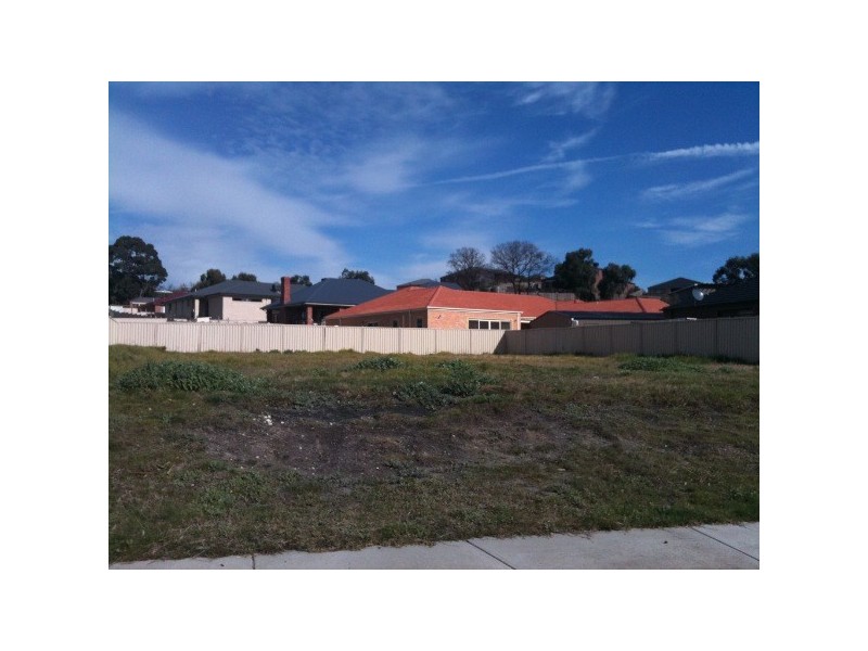 16 Black Wallaby Drive, Langwarrin VIC 3910