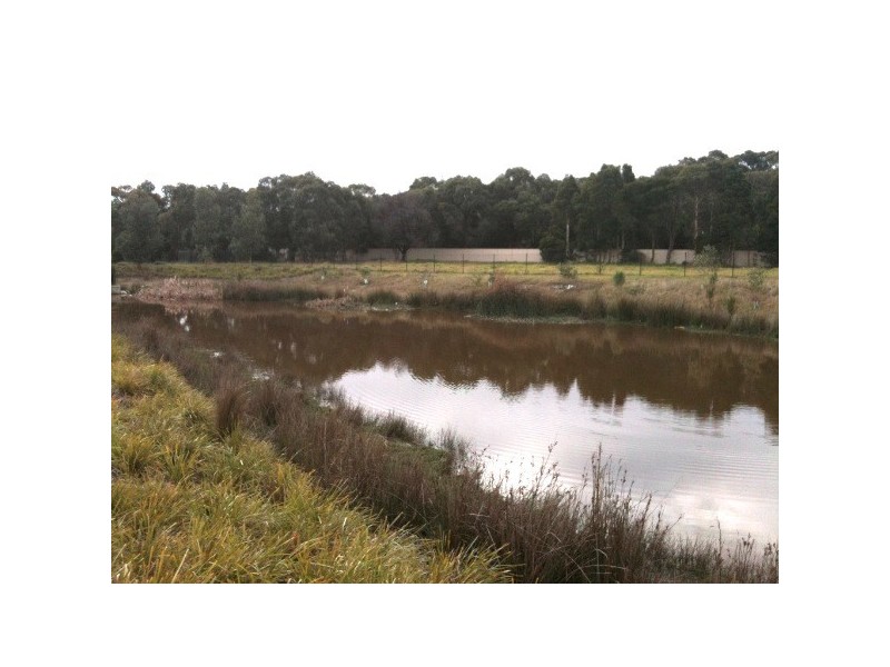 16 Black Wallaby Drive, Langwarrin VIC 3910