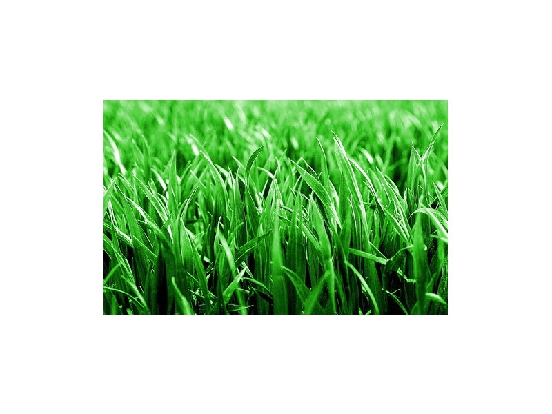 93 Paradise Way, Skye VIC 3977