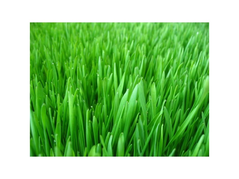 Lot 34 Paradise Way, Skye VIC 3977