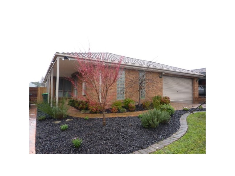 20 Olearia Crescent, Langwarrin VIC 3910
