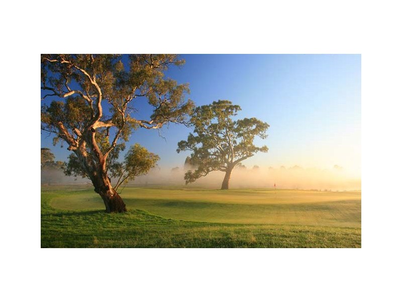 Lot 31 Ethereal Way, Sandhurst VIC 3977