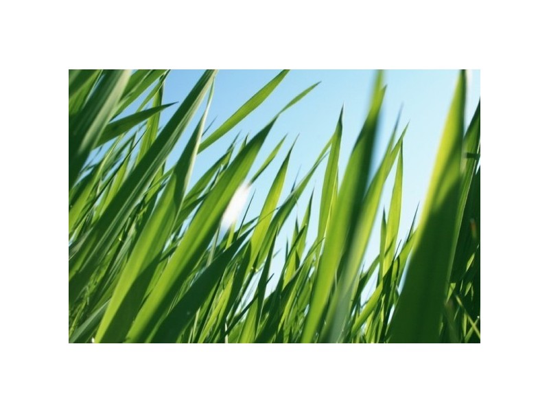 Lot 1227 Jardine Court, Sandhurst VIC 3977