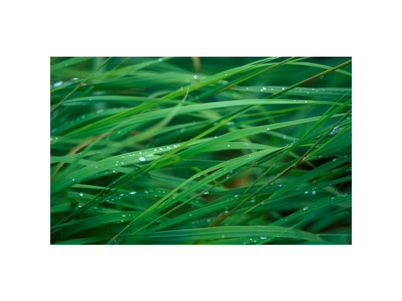 14A Pinehill Drive, Frankston VIC 3199