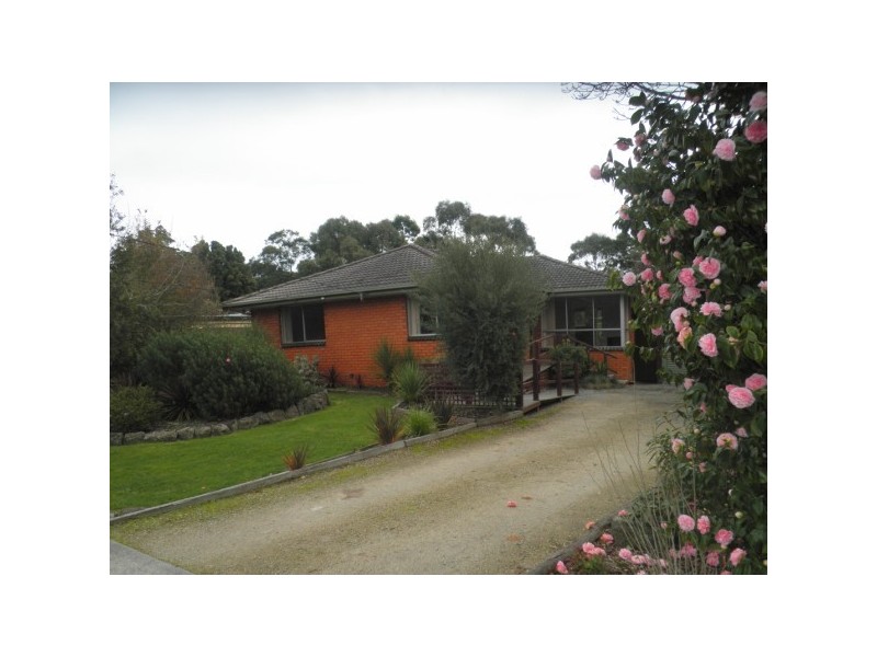 19 Olympic Avenue, Frankston VIC 3199