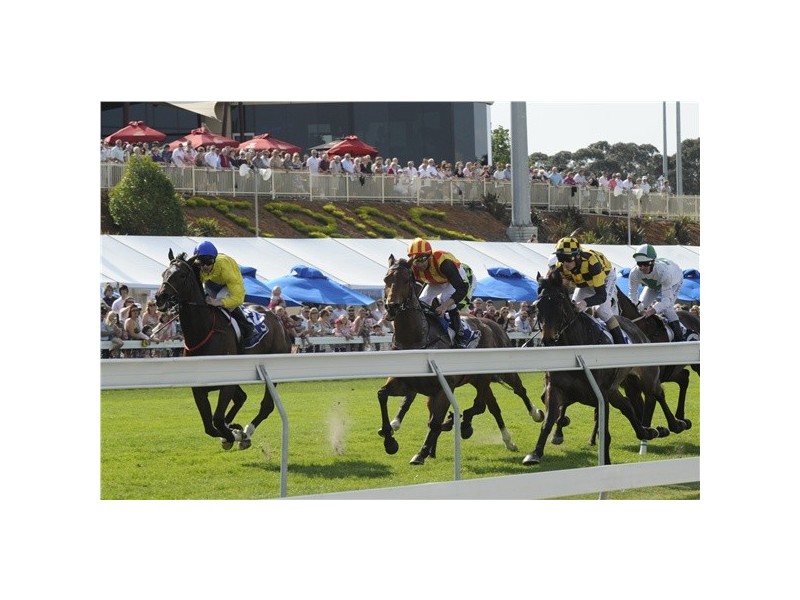 64 Ardent Crescent, Cranbourne East VIC 3977